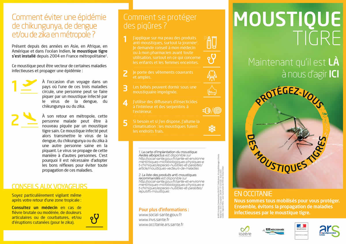 Moustique Page 1