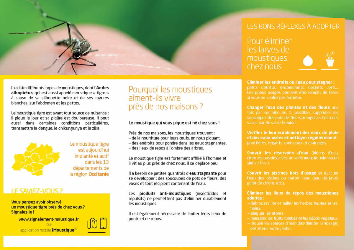 Moustique Page 2
