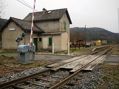 59295277