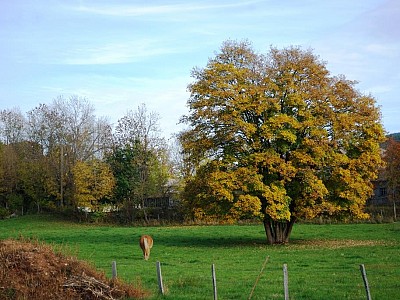 DSC_4256
